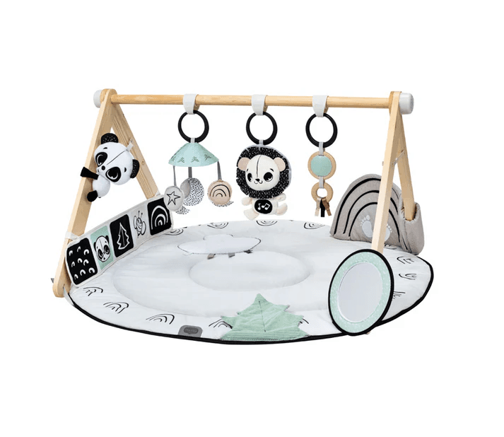 Black & White Décor Luxe Developmental Gymini®